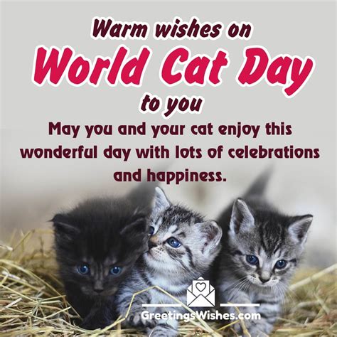 International Cat Day Messages And Quotes (8th August) - Greetings Wishes