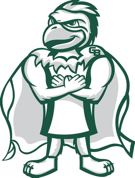 UW-Green Bay unveils new Phlash caricature; items now available at The Phoenix Bookstore ...