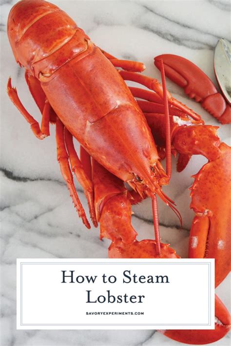 How to Steam a Whole Lobster + How to Eat It Too!