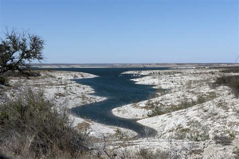 The Wildlife of Amistad National Recreation Area