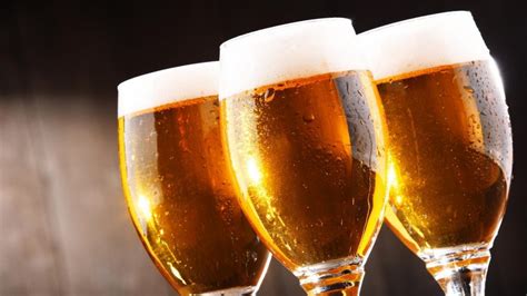 Pilsner vs Lager: Everything You Need To Know About the Two