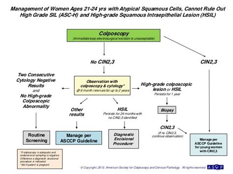 Acog Pap Guidelines 2019 Algorithm | carfare.me 2019-2020