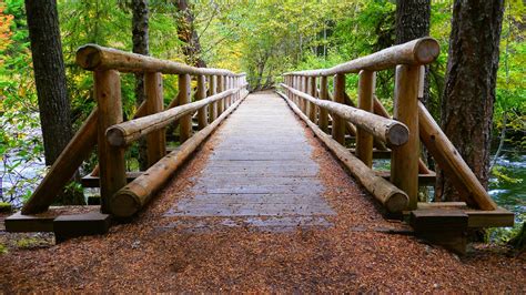 Wooden bridge over Salt Creek in the Willamette National F… | Flickr