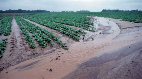 stormwater Archives - Southeast Pipe