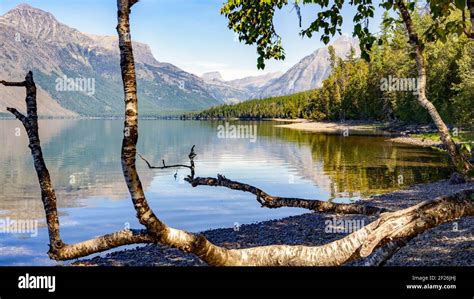 View of Lake McDonald in Montana Stock Photo - Alamy