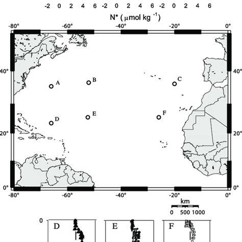 Examples of photoautotrophic marine diazotrophs. (A) Light microscope ...