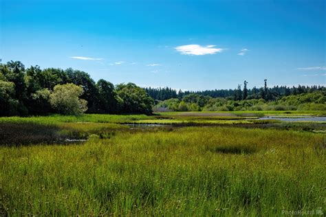 Image of Edmonds Ferry Terminal & Marsh | 1031029