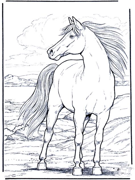 Horse coloring - Free Animal coloring pages sheets Horse