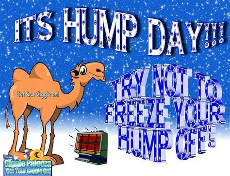 It's hump day!!!Try not to freeze your hump off Wednesday Memes, Hump ...