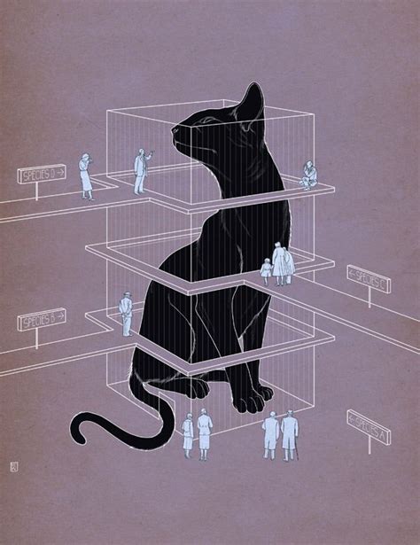 Schrödinger's Cat by Richard Wilkinson | Black cat art, Cat ...