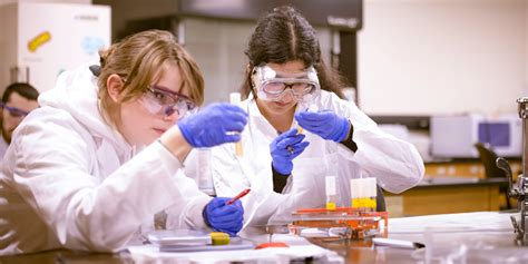 Forensic Biology | Major | Western New England University