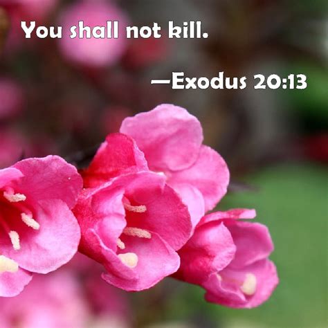 Exodus 20:13 You shall not kill.