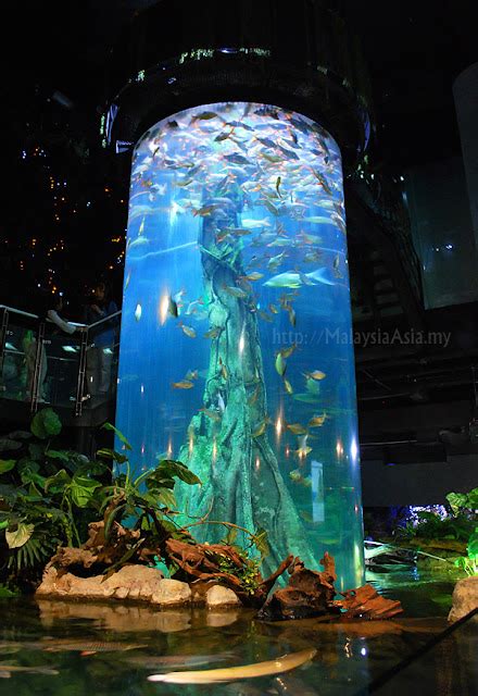 Aquaria KLCC Kuala Lumpur Picture