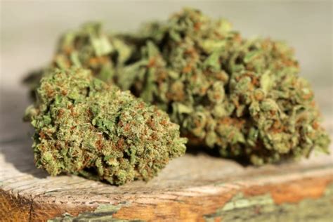 The Best High CBD Cannabis Strains | Mission Dispensaries