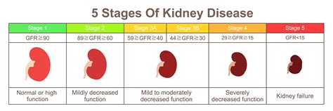 Creatinine Kidney Disease Chart
