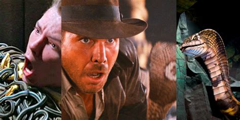 Every Time Indiana Jones Was Scared Of Snakes | Screen Rant