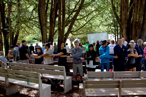 Beautiful Myrtlewood tree grove...the perfect setting for camp meetings! | Southern oregon ...