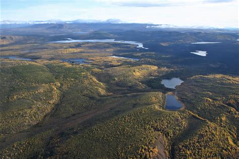 New framework identifies climate change “refugia” in boreal forest ...