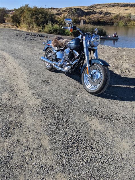 Rock Lake, Washington : r/Harley