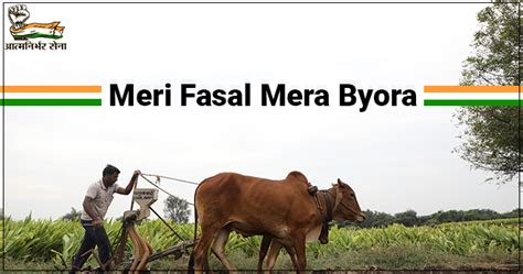 Meri Fasal Mera Byora Yojana - Helping the Farmers in Haryana