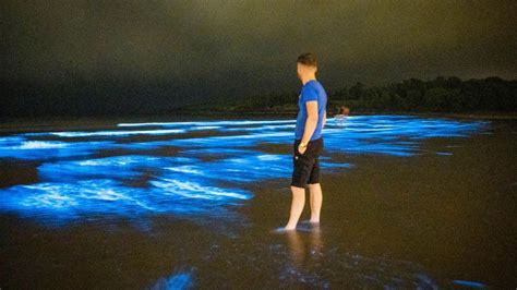 Fountainstown Beach: Bioluminescent plankton light up Cork beach - BBC News