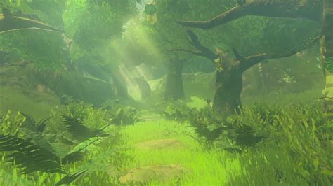 Korok Forest | Zeldapedia | FANDOM powered by Wikia