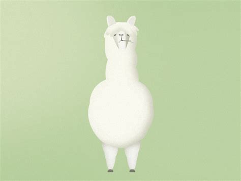 Alpaca by Cornelia Ryås on Dribbble