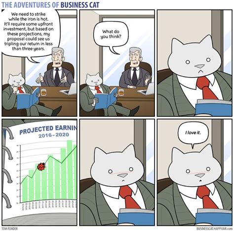 If Your Boss Was A Cat | Business cat, Funny cat memes, Cute cat memes