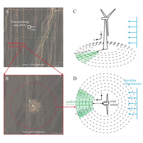 The illustration of the field study design. Matrixes of wind turbines... | Download Scientific ...