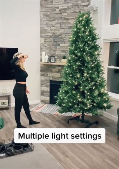 TikTok video showing Stow & Grow remote control Christmas tree divides ...