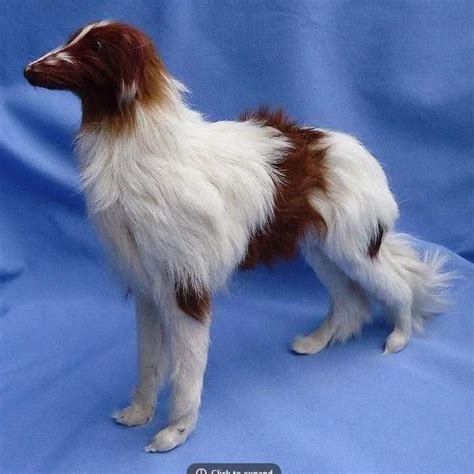 Borzo Dog | Animals, Dogs, Goats