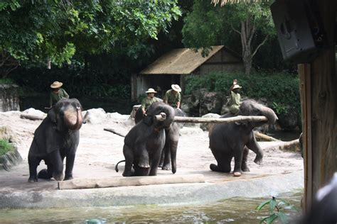 Far East Techsans: Singapore Zoo