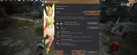 Black Desert Online Fairy Guide – Skills, Tiers & Appearances