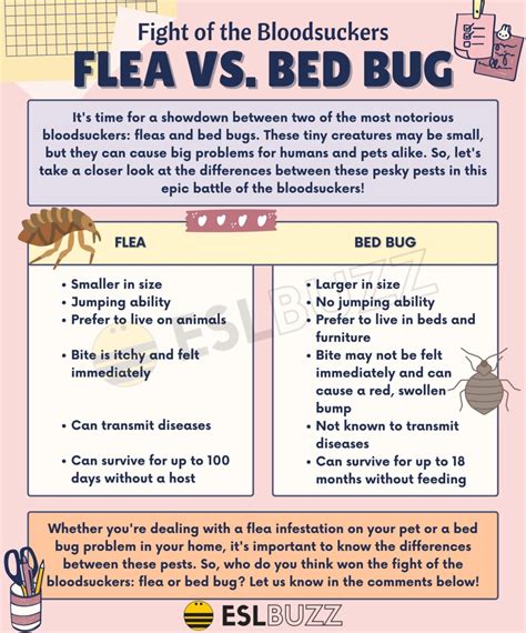 Flea vs. Bed Bug: How to Identify and Deal with Common Household Pests ...