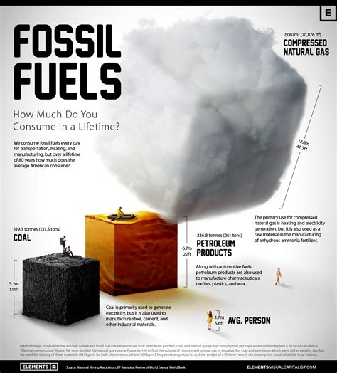 A Lifetime's Consumption of Fossil Fuels: Visualized