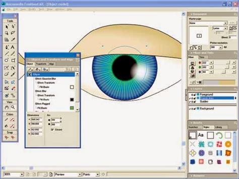 Macromedia FreeHand MX 10 With Serial Key Free Download