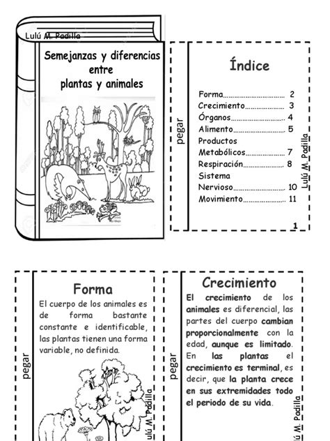 Semejanzas y Diferencias Entre Plantas y Animales | Plantas | Metabolismo