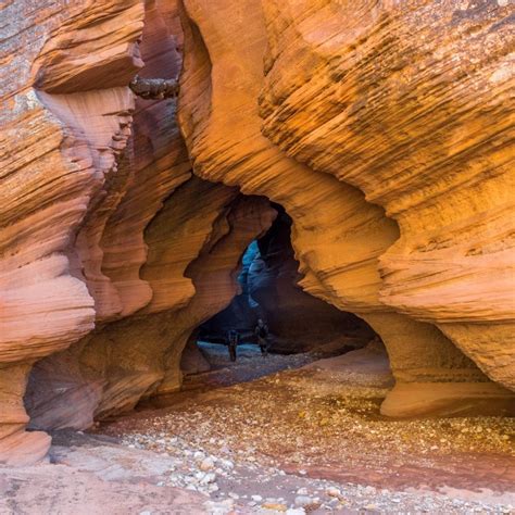 Buckskin Gulch, the world's most incredible slot canyon, lies in Utah. USA. Photo by Jesse Weber ...