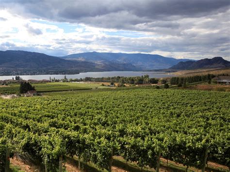 Terroir Talk #5 – Osoyoos East – Oliver Osoyoos Wine Country