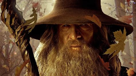 Leaf, Ian McKellen, Gandalf - Men Wallpapers: 1920x1080