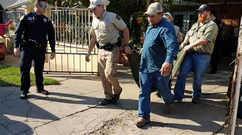 Mountain lion caught after wandering through Texas neighborhood | Fox News