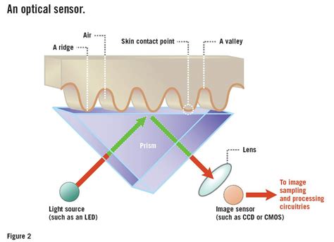 How fingerprint scanners work — Optical, capacitive, and other variants