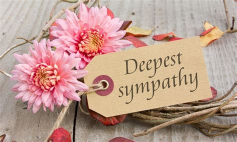 Proper Etiquette for Sending Funeral and Sympathy Flowers – Arlington Media