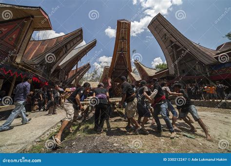 TANA TORAJA, SULAWESI, INDONESIA - November 26 2016: Funeral Ceremony ...