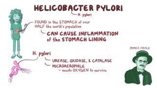 Metaplasia: What Is It, Types, Causes, and More | Osmosis