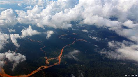 Amazon Basin Climate