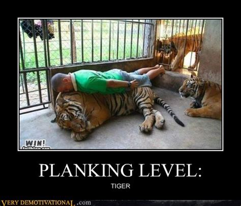 PLANKING LEVEL: - Very Demotivational - Demotivational Posters | Very Demotivational | Funny ...