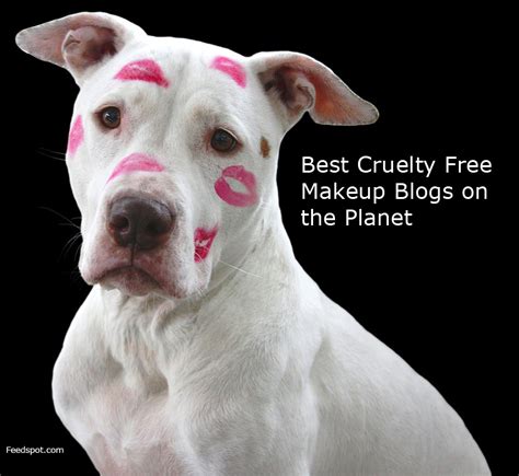 50 Best Cruelty Free Makeup Blogs and Websites in 2023