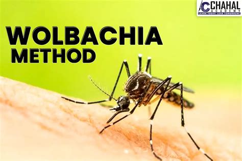 Wolbachia Method to Control Dengue UPSC CSE