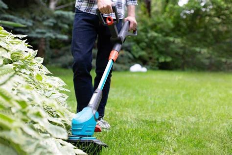 7 Best Electric Lawn Edgers for a Neat and Tidy Lawn - EU-Vietnam ...